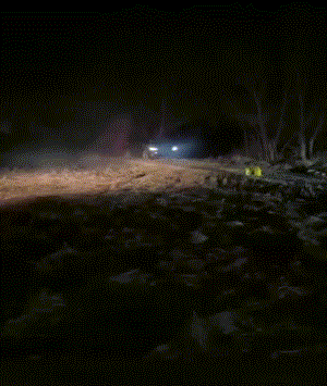 3DM����һ�̵�1630�� ���Ǻ�˿��Ů�ǿ������