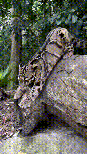 3DM����һ�̵�1629�� ��λ��������ʵ��̫רҵ��