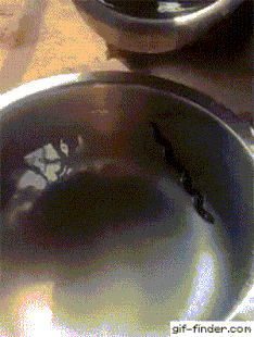 3DM����һ�̵�1629�� ��λ��������ʵ��̫רҵ��