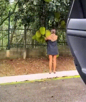 3DM����һ�̵�1629�� ��λ��������ʵ��̫רҵ��