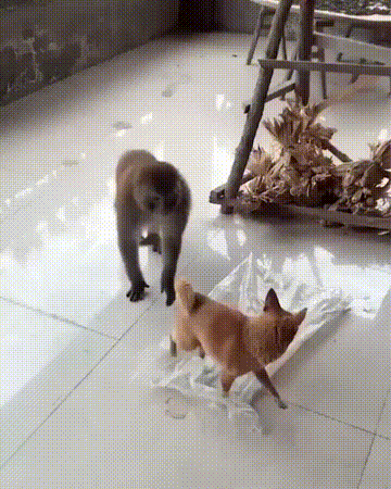 3DM����һ�̵�1629�� ��λ��������ʵ��̫רҵ��