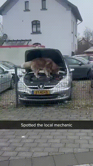 3DM����һ�̵�1628�� ��˾����Ů��ֵ��һȥ��