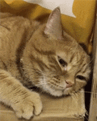 3DM����һ�̵�1631�� �ҳ��������ձ��¿�ˮ��