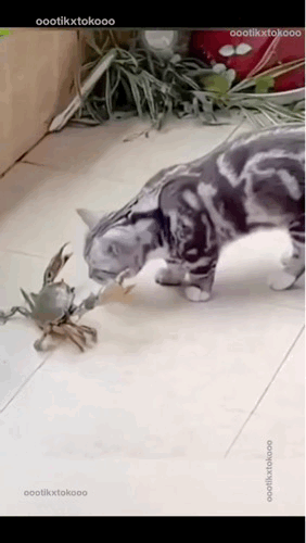 3DM����һ�̵�1632�� ����ʲô�������ĵ��º���