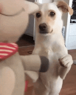 3DM����һ�̵�1631�� �ҳ��������ձ��¿�ˮ��