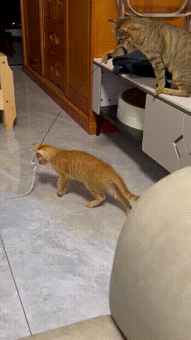 3DM����һ�̵�1632�� ����ʲô�������ĵ��º���