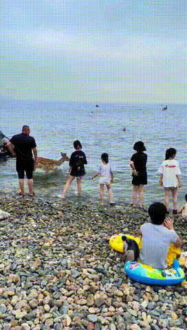 3DM����һ�̵�1633�� ��Ů�㻵�������һ����۵�