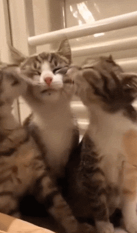 3DM����һ�̵�1633�� ��Ů�㻵�������һ����۵�