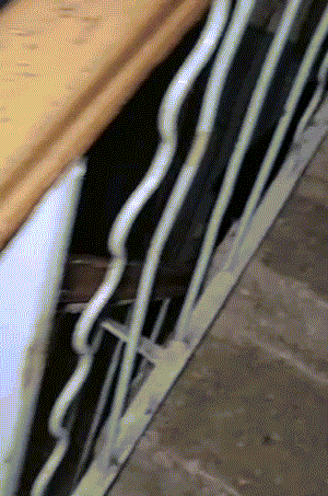 3DM����һ�̵�1633�� ��Ů�㻵�������һ����۵�