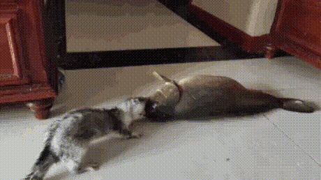 3DM����һ�̵�1633�� ��Ů�㻵�������һ����۵�