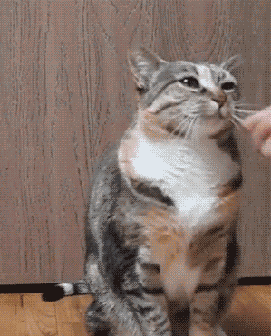 3DM����һ�̵�1634�� �������ϰ����е���Ӫ����