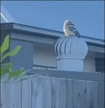 3DM����һ�̵�1636�� �ֵ��������������̾��