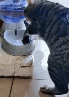 3DM����һ�̵�1636�� �ֵ��������������̾��