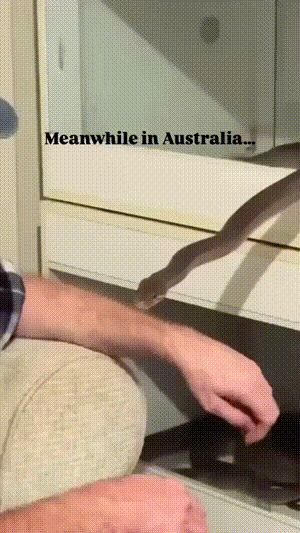 3DM����һ�̵�1636�� �ֵ��������������̾��