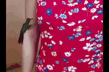 3DM����һ�̵�1637�� ���������о��Լ���ɧ��