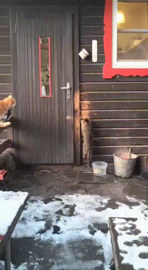 3DM����һ�̵�1637�� ���������о��Լ���ɧ��