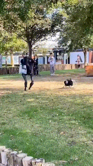 3DM����һ�̵�1638�� ���ӵ�����ô��ôϸ����