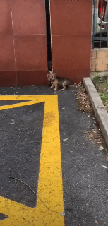 3DM����һ�̵�1638�� ���ӵ�����ô��ôϸ����