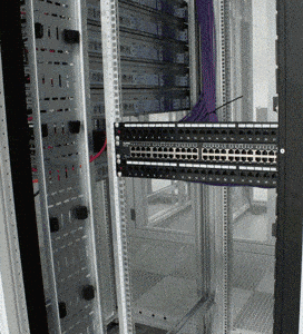 3DM����һ�̵�1637�� ���������о��Լ���ɧ��