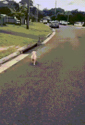 3DM����һ�̵�1638�� ���ӵ�����ô��ôϸ����