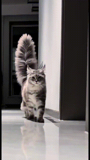 3DM����һ�̵�1638�� ���ӵ�����ô��ôϸ����