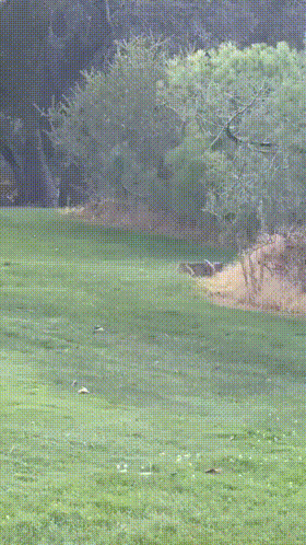 3DM����һ�̵�1637�� ���������о��Լ���ɧ��