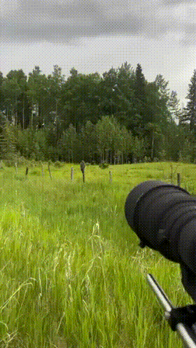 3DM����һ�̵�1638�� ���ӵ�����ô��ôϸ����