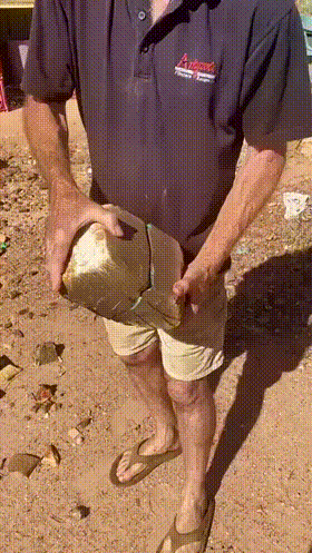 3DM����һ�̵�1638�� ���ӵ�����ô��ôϸ����