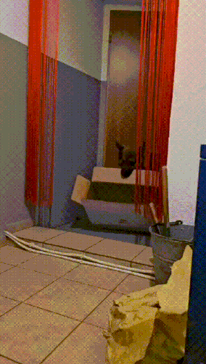 3DM����һ�̵�1639�� Ӿװ��Ů����ò��������