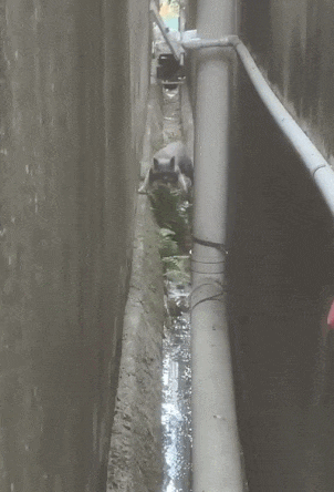 3DM����һ�̵�1642�� ��Ů��β��Ϊ�λ��Զ�����