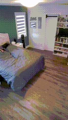 3DM����һ�̵�1641�� �����������赸�������ر�