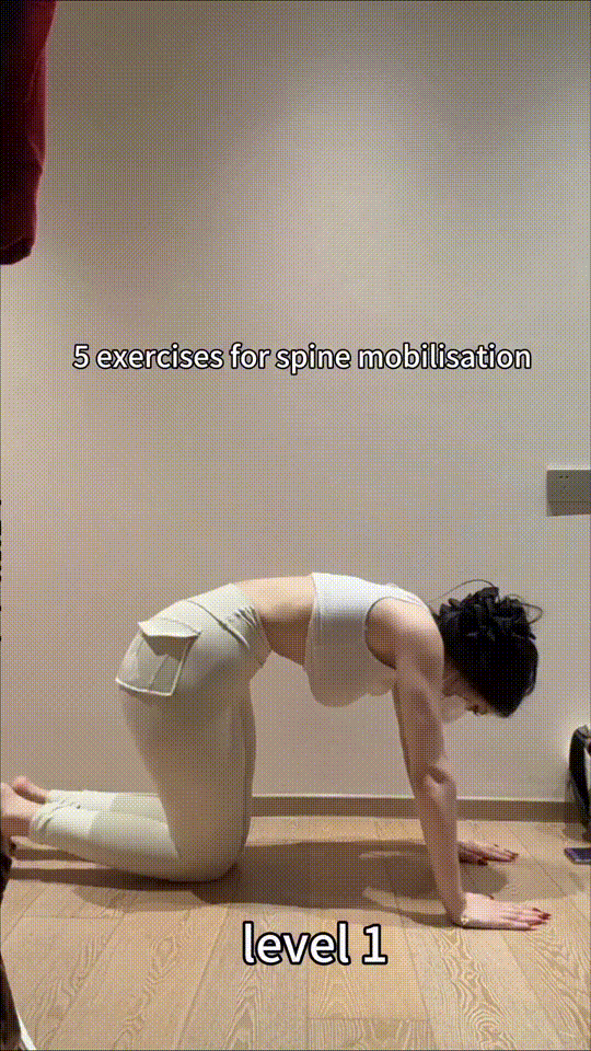 3DM����һ�̵�1641�� �����������赸�������ر�