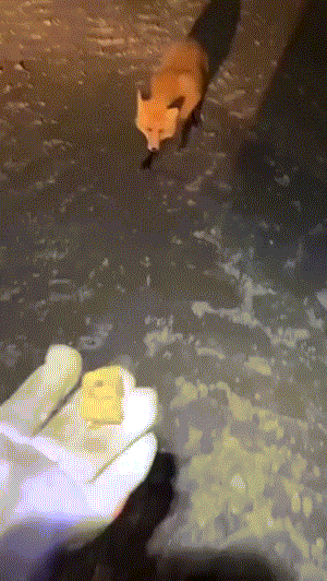 3DM����һ�̵�1644�� ��˿��Ů�ڴ������н���