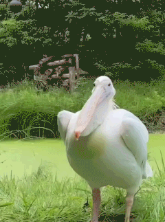 3DM����һ�̵�1648�� �ѵ��Ͻ�һ�ξͱ�͵�ģ�