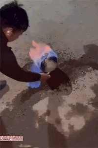 3DM����һ�̵�1649�� �Ȳ�ʱ��Լ�ŵ���ˬ��ζ��