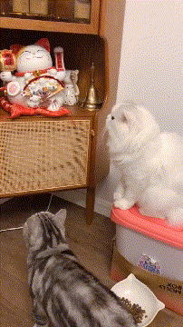 3DM����һ�̵�1648�� �ѵ��Ͻ�һ�ξͱ�͵�ģ�