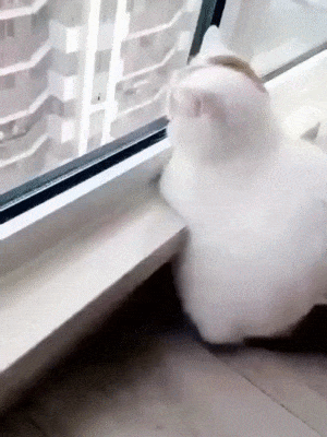 3DM����һ�̵�1647�� �������߿��⳵�ƾ��Ǻó�