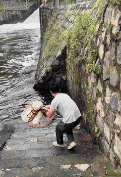 3DM����һ�̵�1648�� �ѵ��Ͻ�һ�ξͱ�͵�ģ�