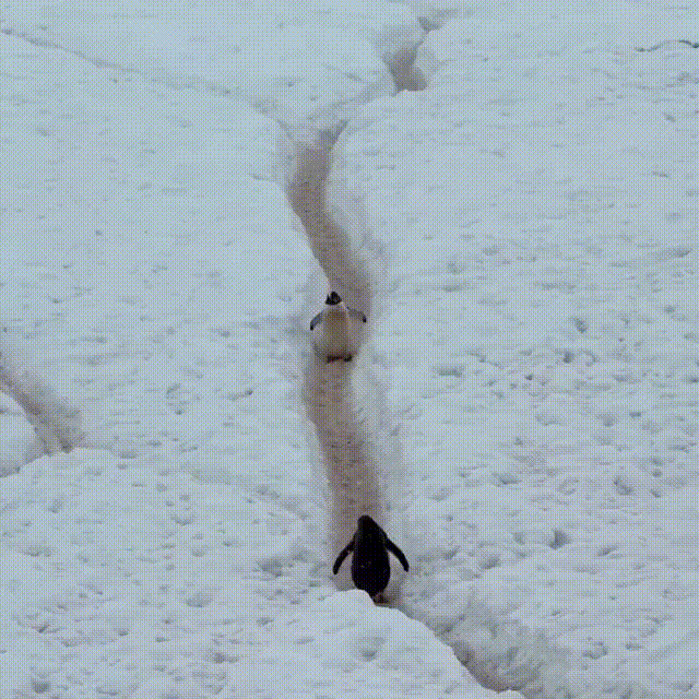 3DM����һ�̵�1648�� �ѵ��Ͻ�һ�ξͱ�͵�ģ�