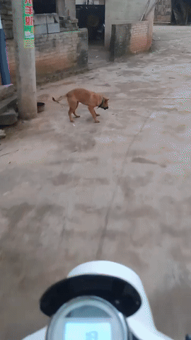 3DM����һ�̵�1647�� �������߿��⳵�ƾ��Ǻó�