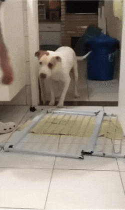 3DM����һ�̵�1648�� �ѵ��Ͻ�һ�ξͱ�͵�ģ�