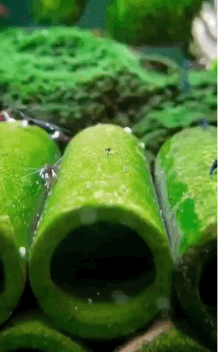 3DM����һ�̵�1648�� �ѵ��Ͻ�һ�ξͱ�͵�ģ�