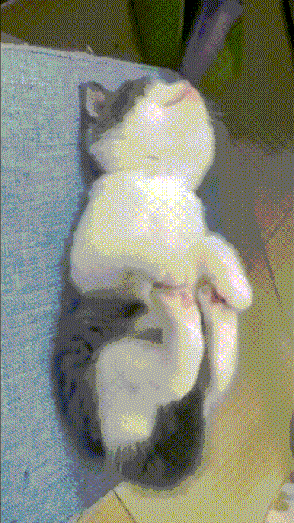 3DM����һ�̵�1648�� �ѵ��Ͻ�һ�ξͱ�͵�ģ�