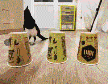 3DM����һ�̵�1647�� �������߿��⳵�ƾ��Ǻó�