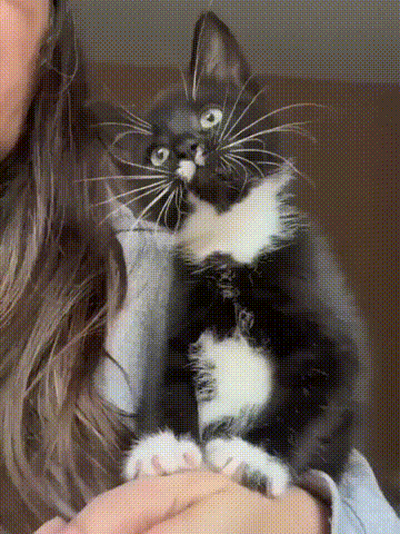 3DM����һ�̵�1649�� �Ȳ�ʱ��Լ�ŵ���ˬ��ζ��