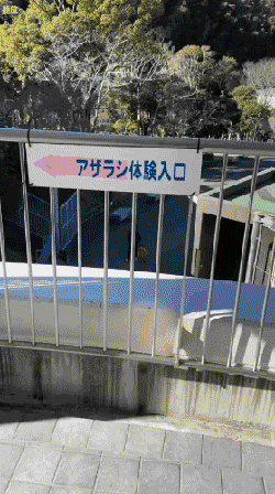 3DM����һ�̵�1650�� ս���ү����������ܽ�����