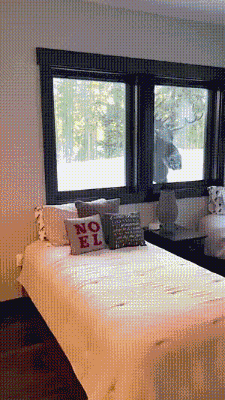 3DM����һ�̵�1650�� ս���ү����������ܽ�����