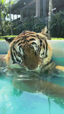 3DM����һ�̵�1650�� ս���ү����������ܽ�����