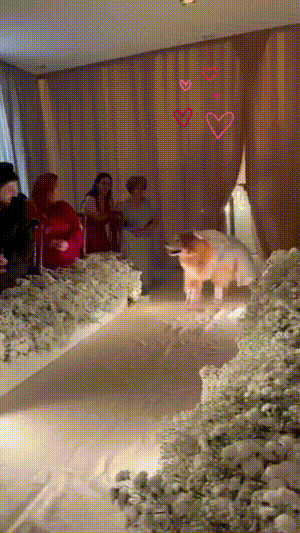 3DM����һ�̵�1650�� ս���ү����������ܽ�����