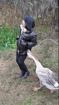 3DM����һ�̵�1650�� ս���ү����������ܽ�����